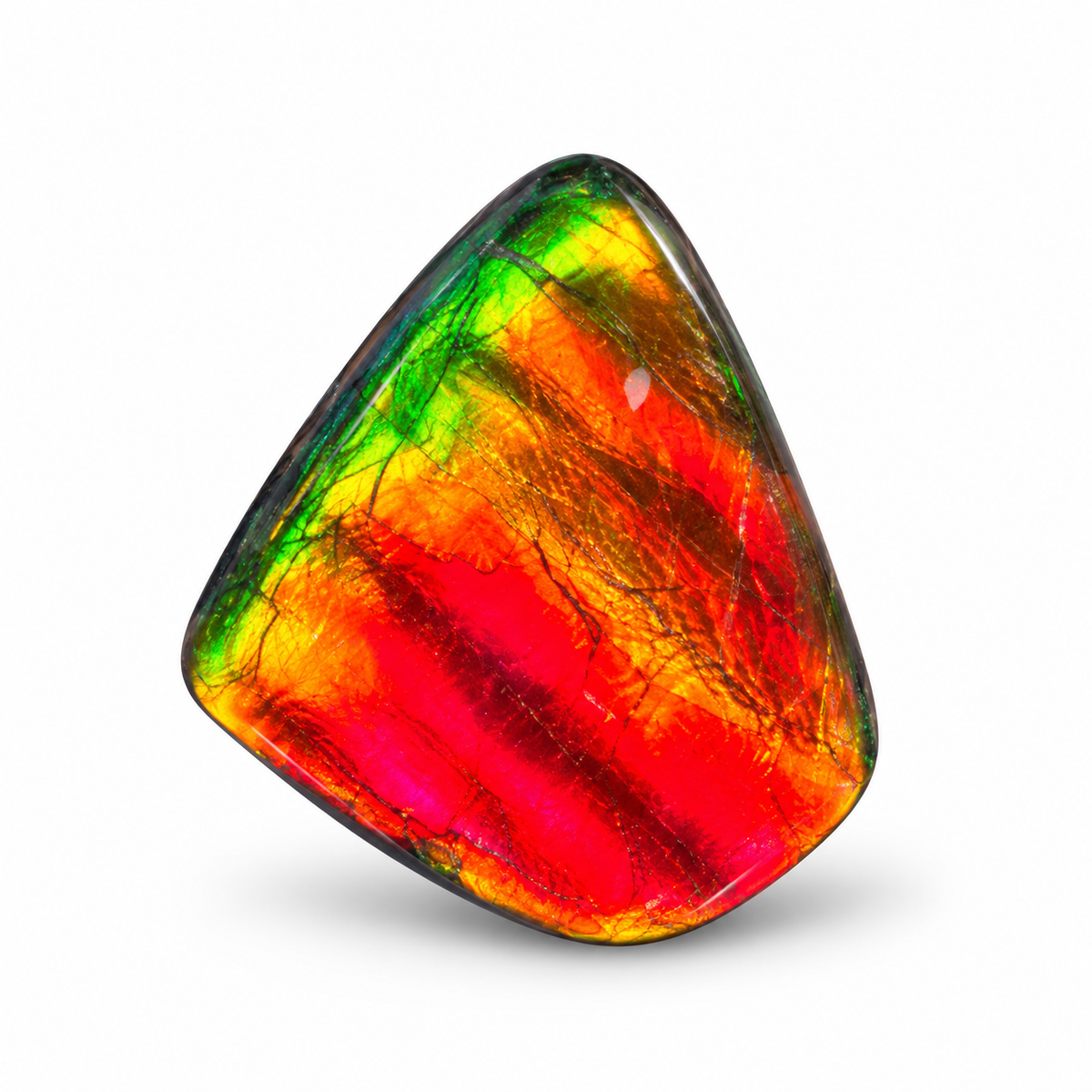 Blue Zone ammolite triplet CGT13