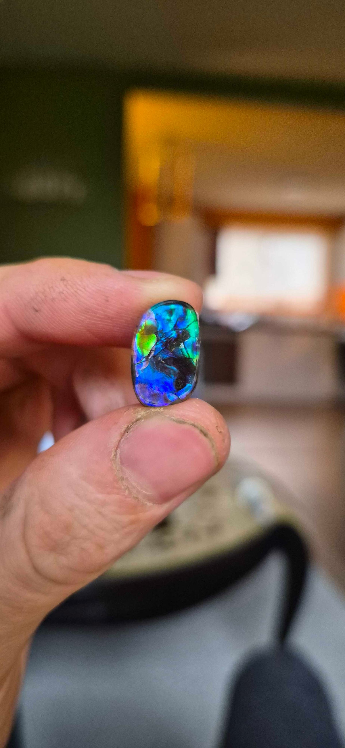 Blue Zone ammolite CGT14 held in hand for scale