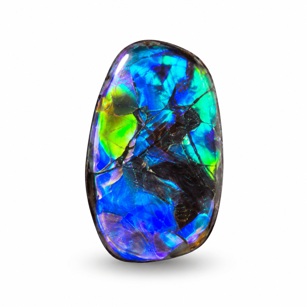 Blue Zone ammolite triplet CGT14
