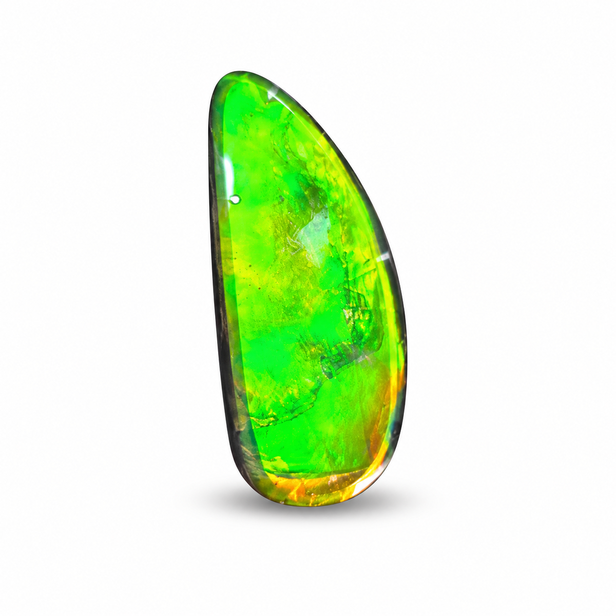 Blue Zone ammolite triplet CGT16
