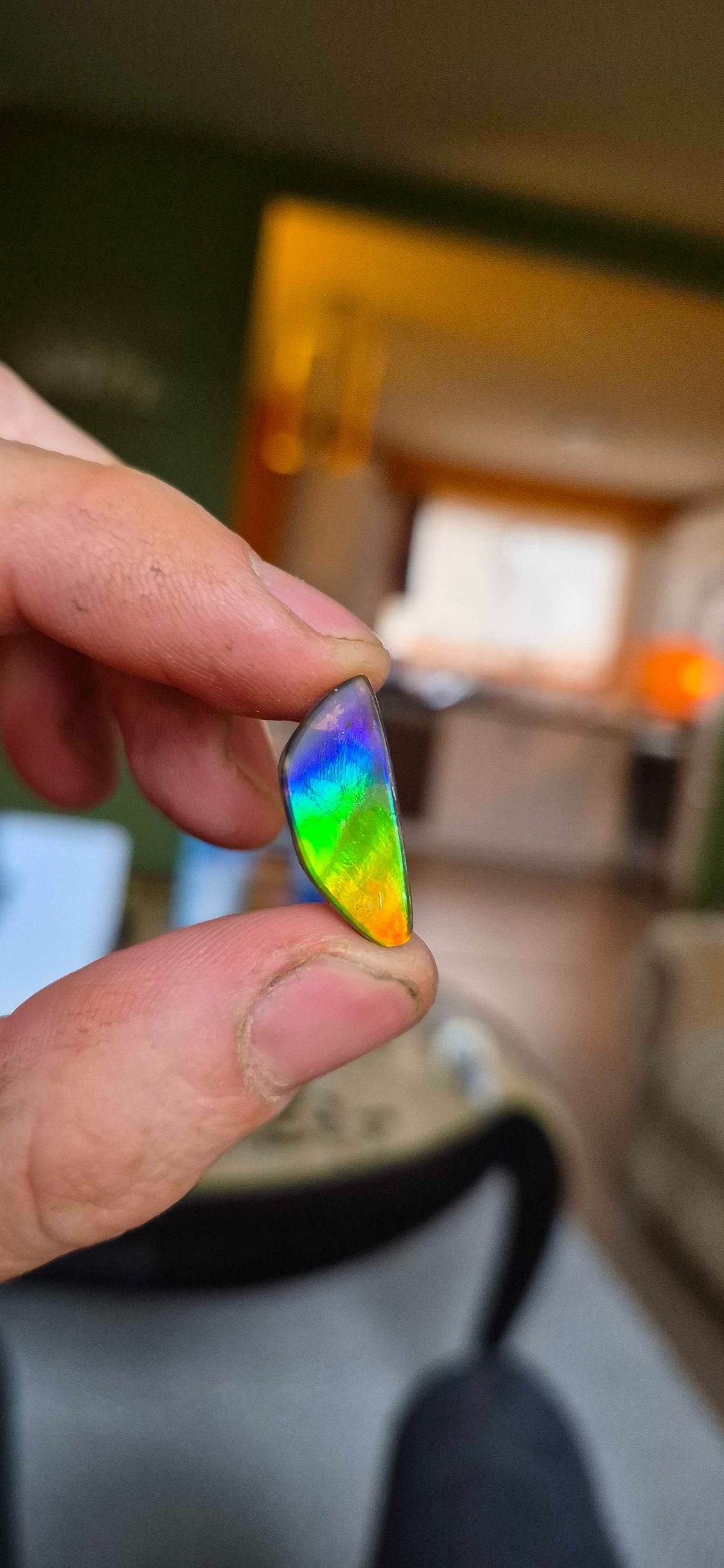 Blue Zone ammolite CGT17 held in hand for scale
