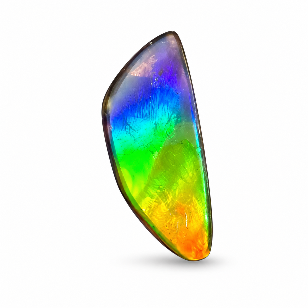 Blue Zone ammolite triplet CGT17