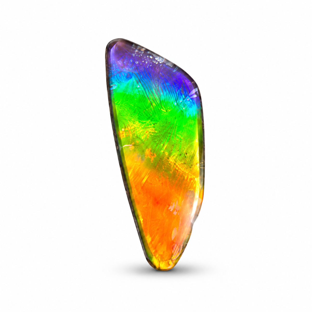 Blue Zone ammolite triplet CGT18