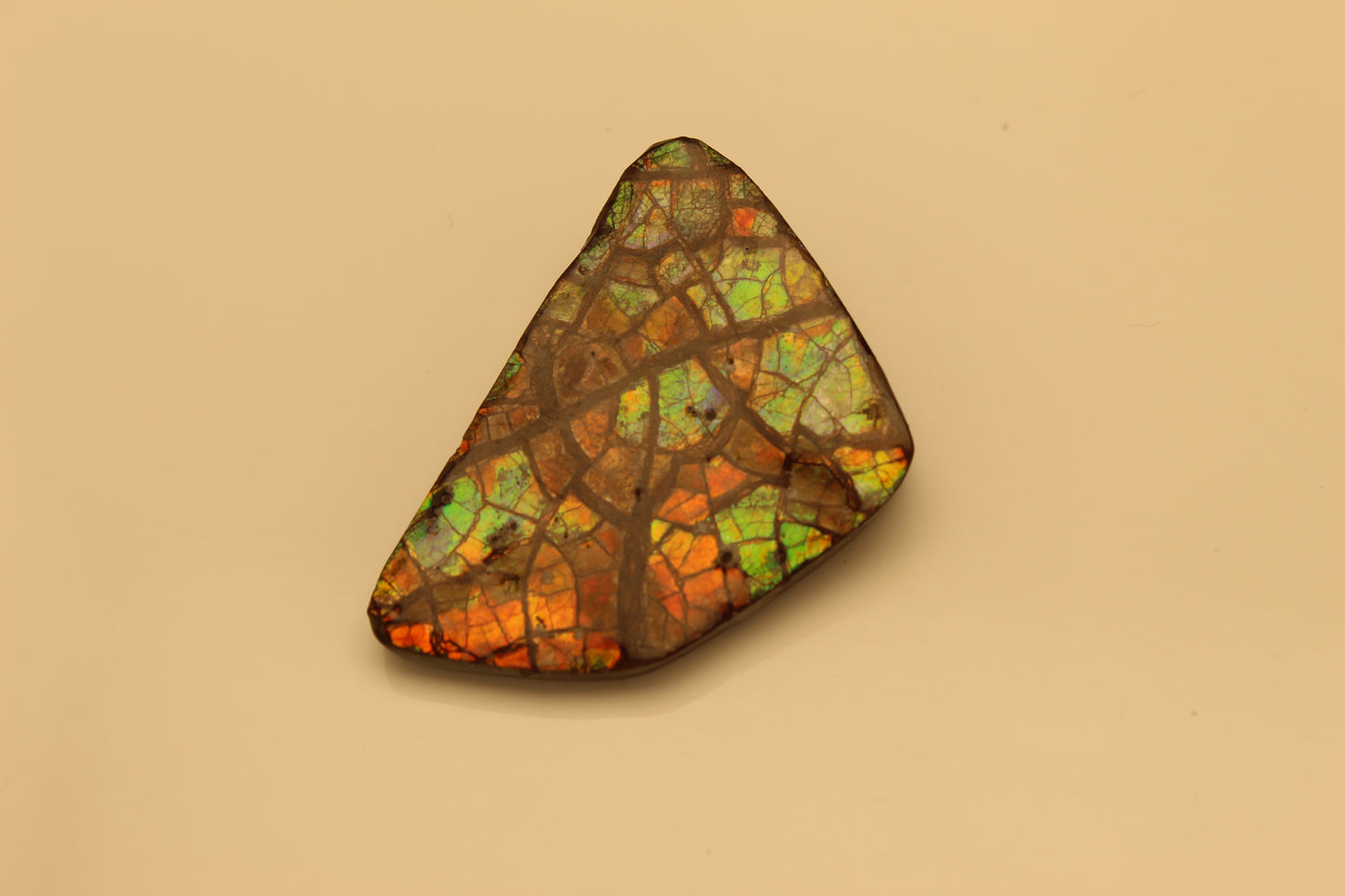 Ammolite Pendant A-#3
