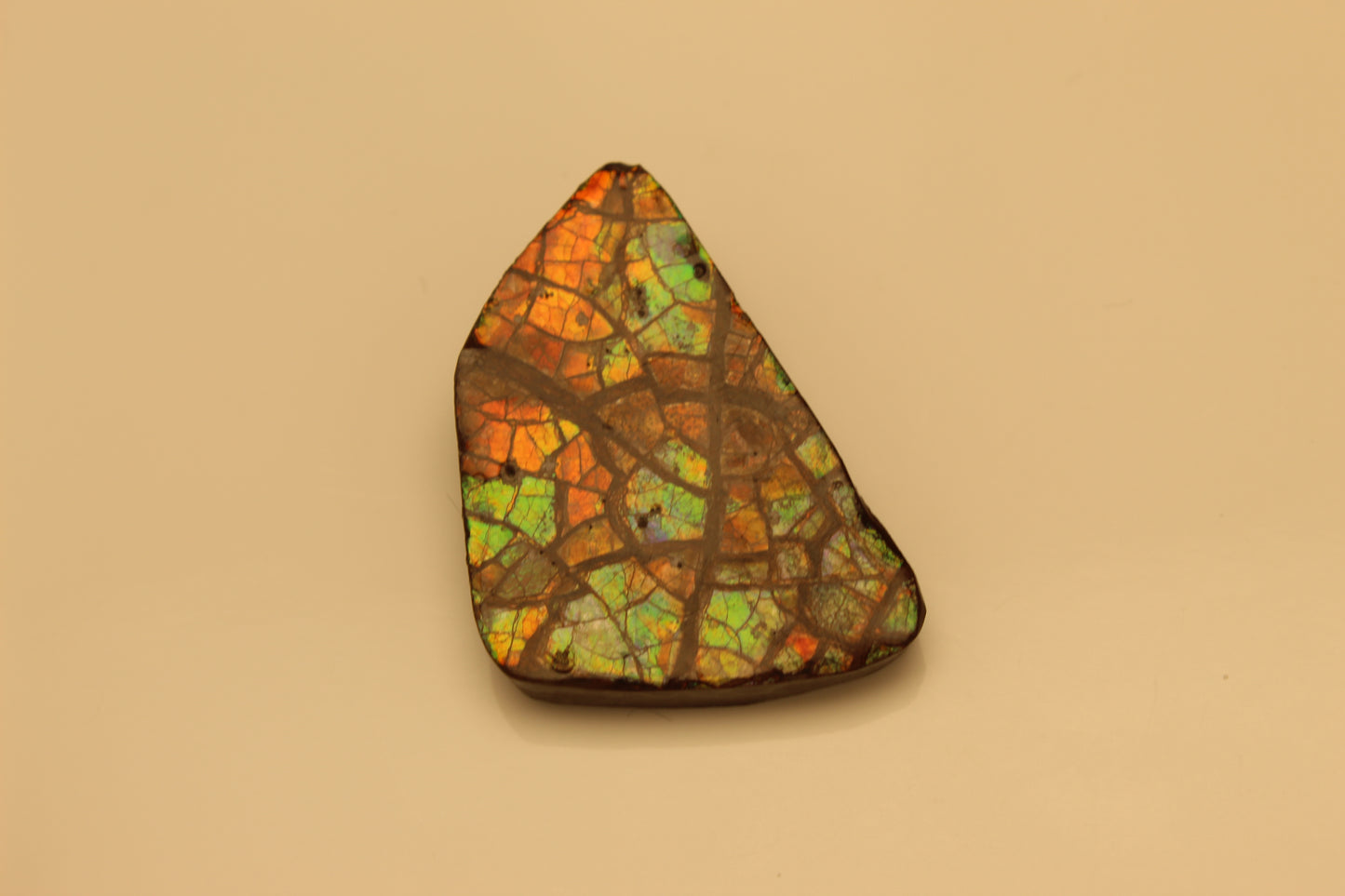Ammolite Pendant A-#3