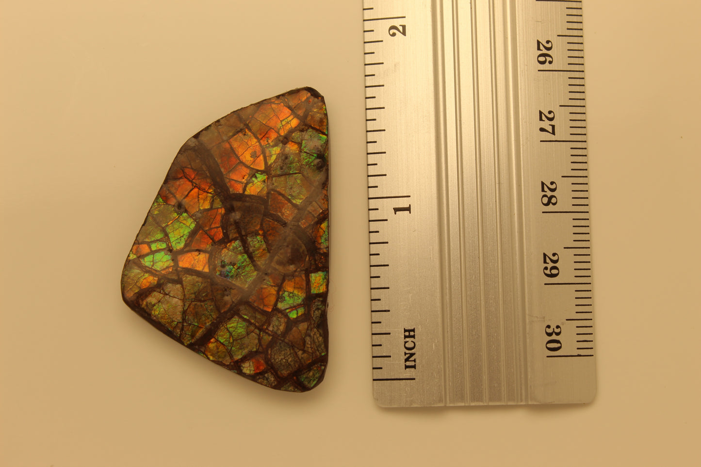 Ammolite Pendant A-#3