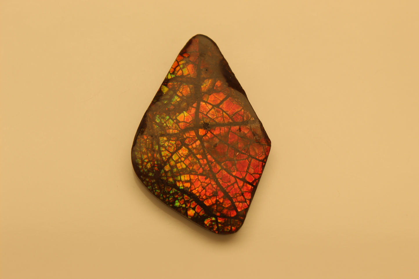 Ammolite Pendant A-#2