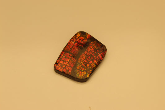 Ammolite Pendant A-#4