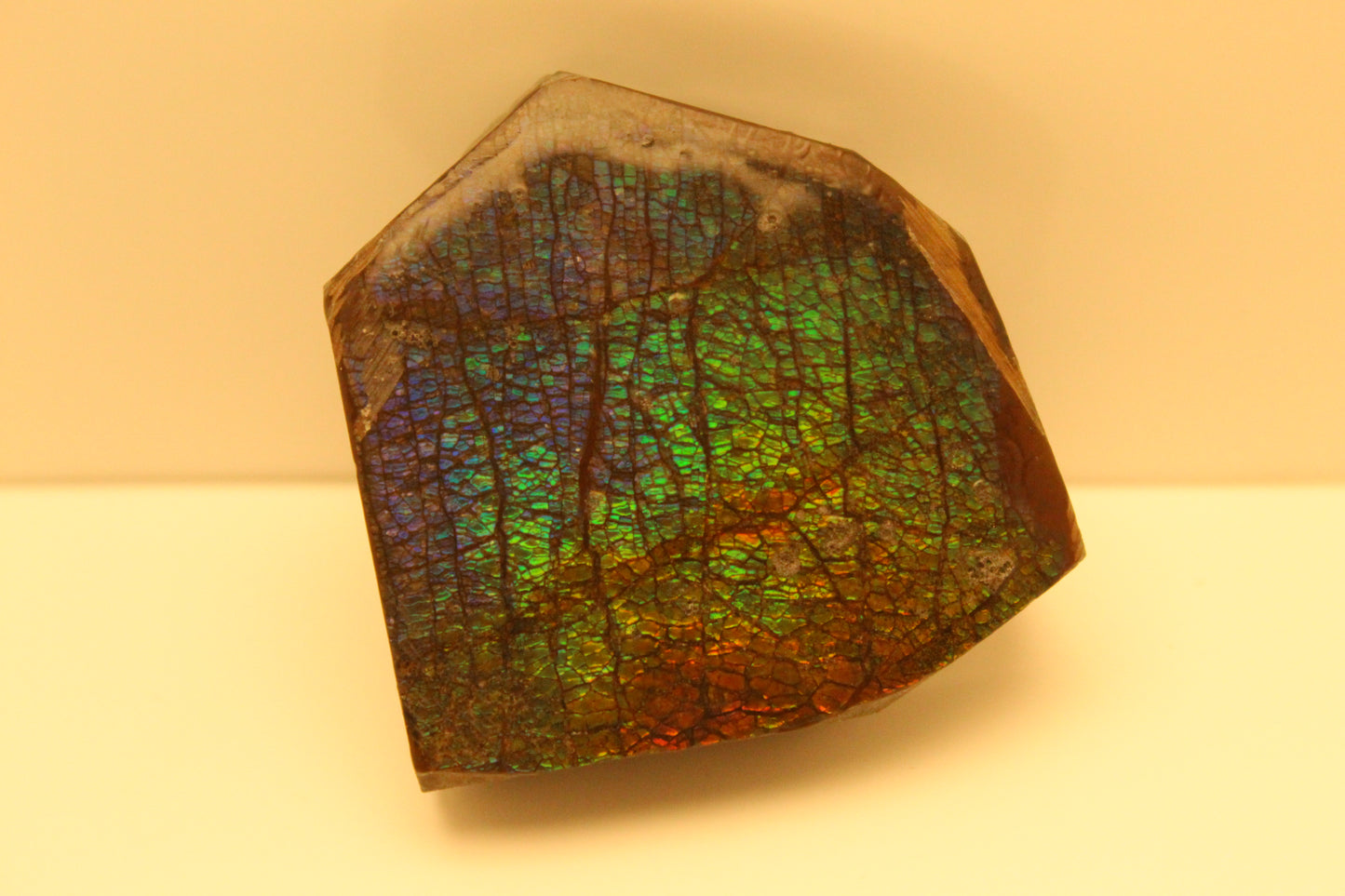 Ammolite Pendant A-#10