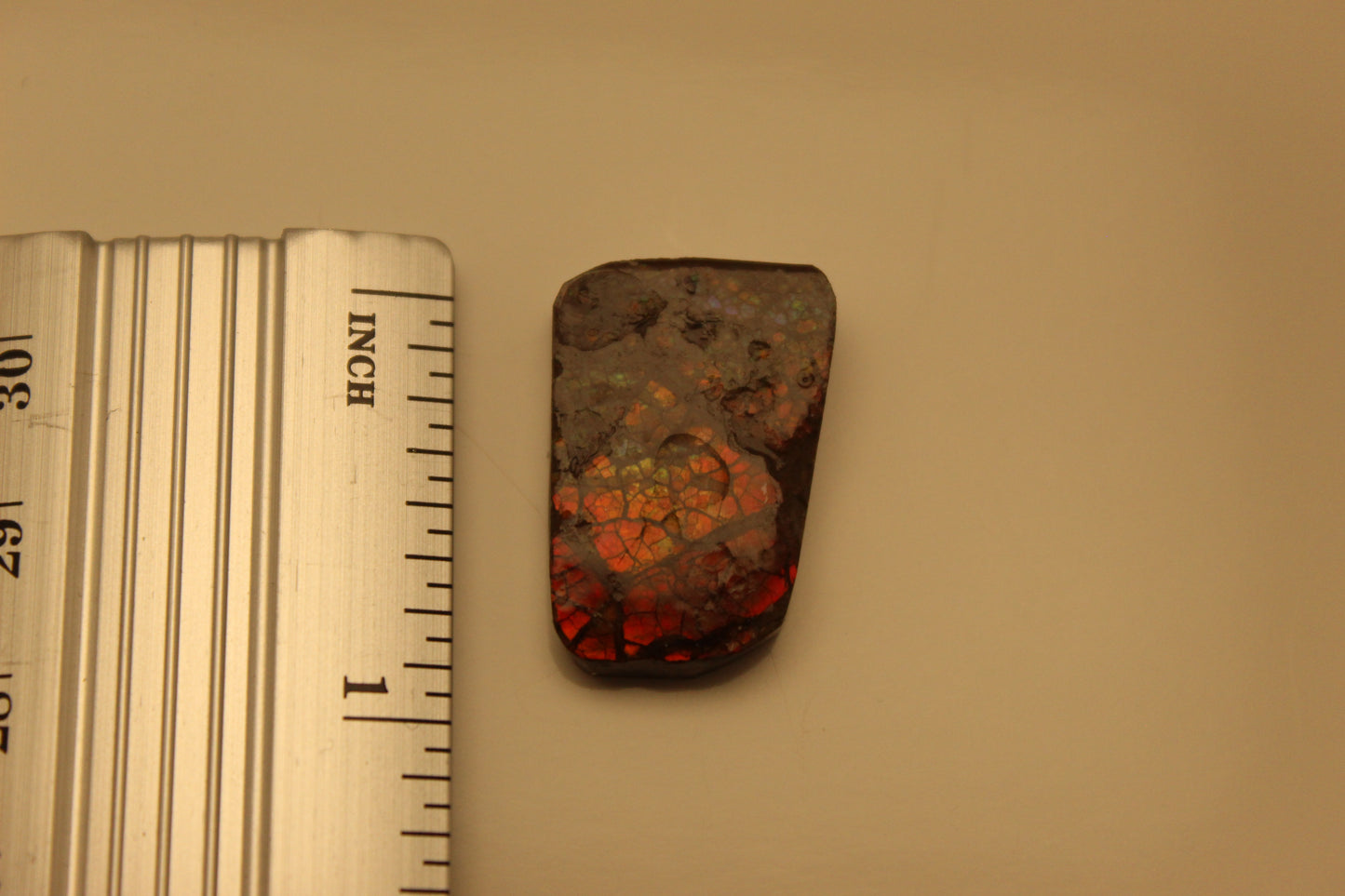 Ammolite Pendant A-#9