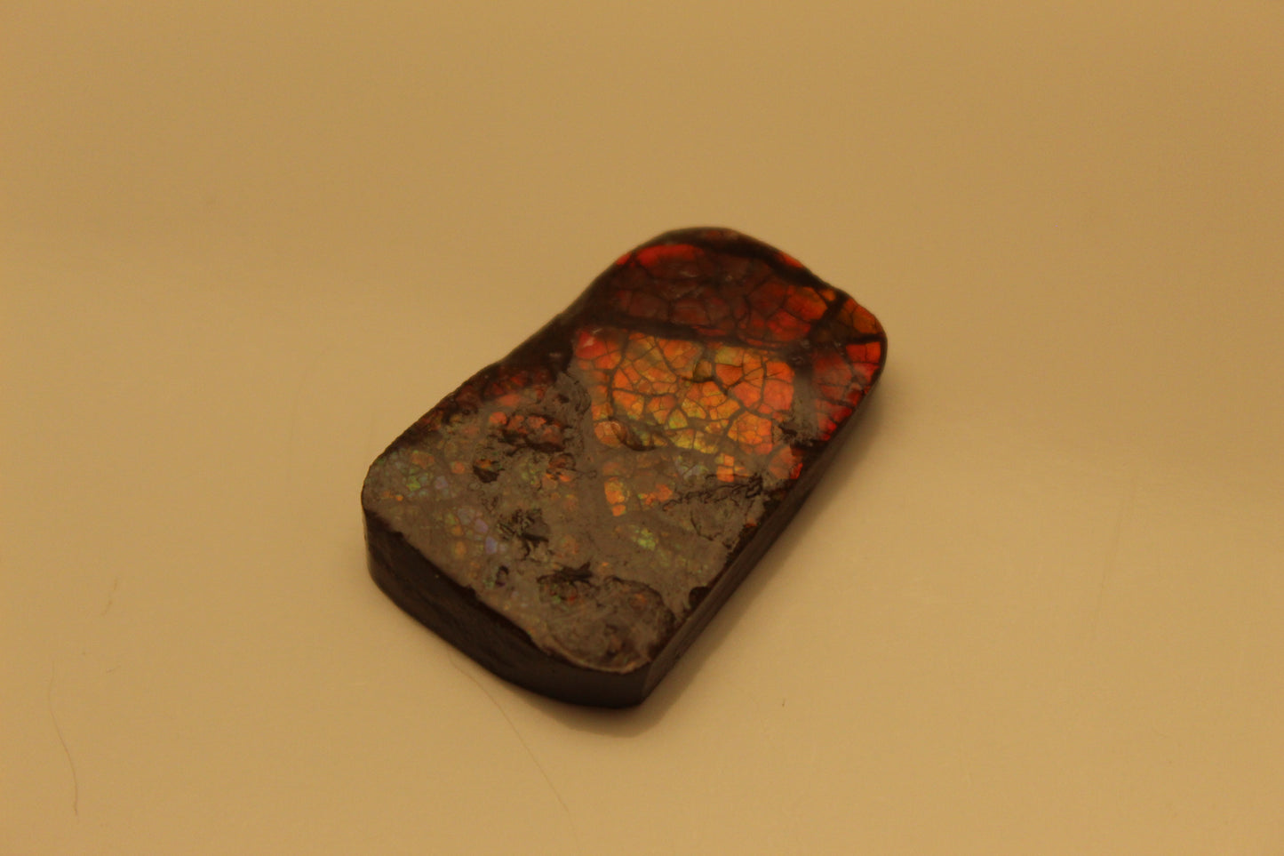 Ammolite Pendant A-#9