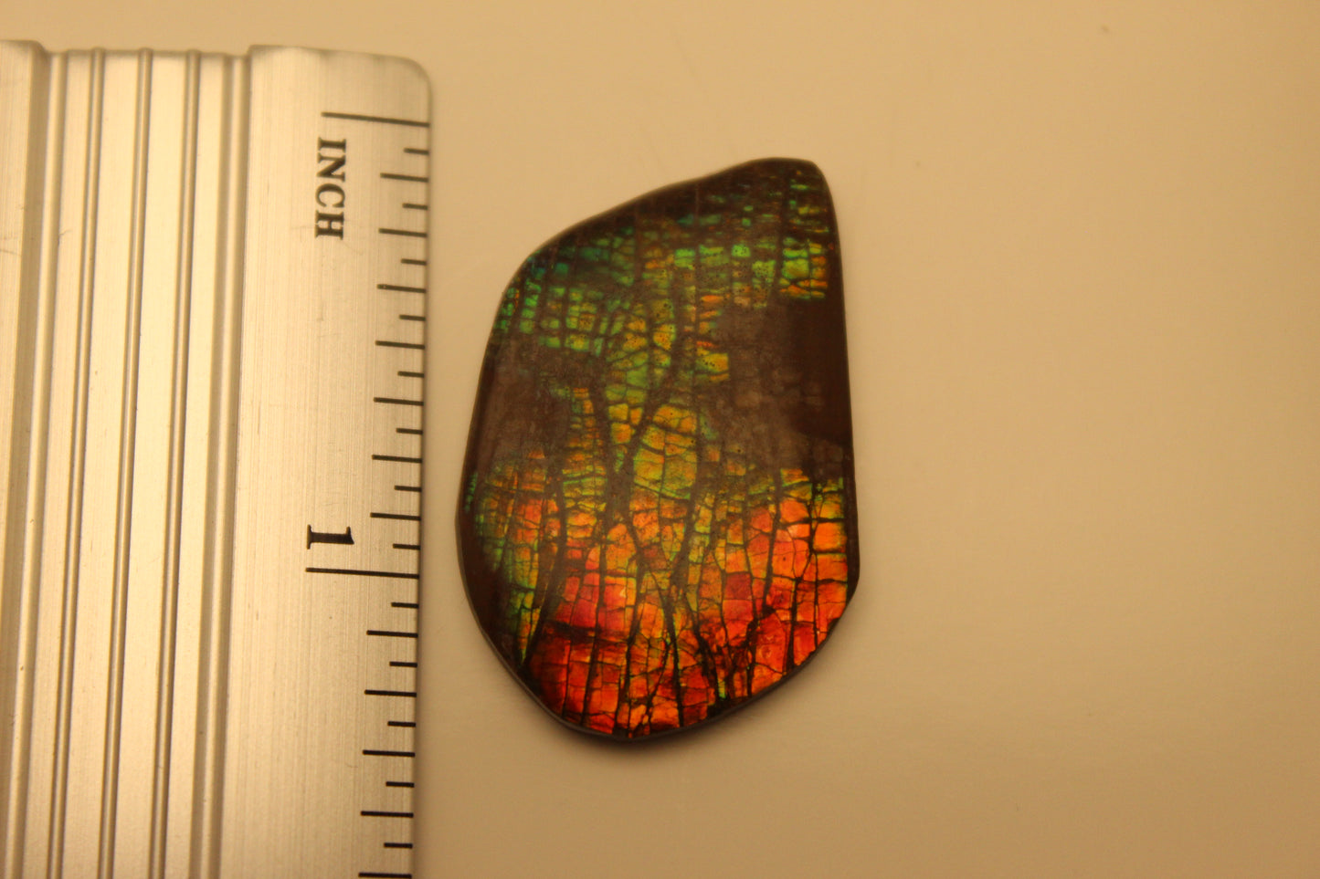 Ammolite Pendant A-#6