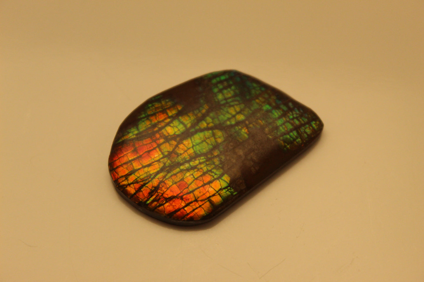 Ammolite Pendant A-#6