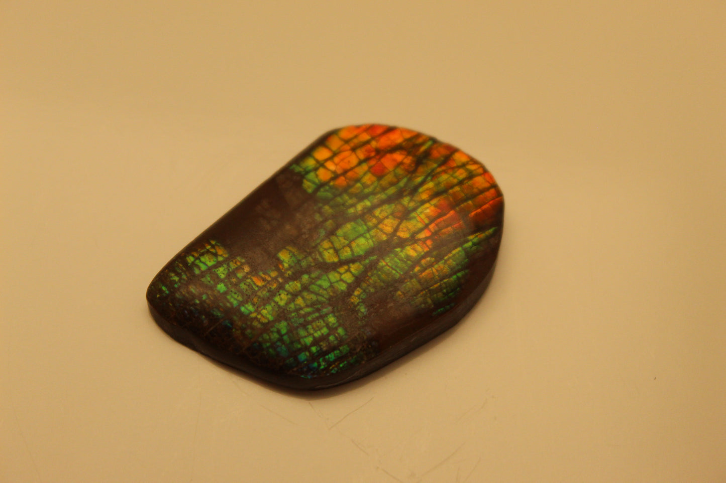 Ammolite Pendant A-#6