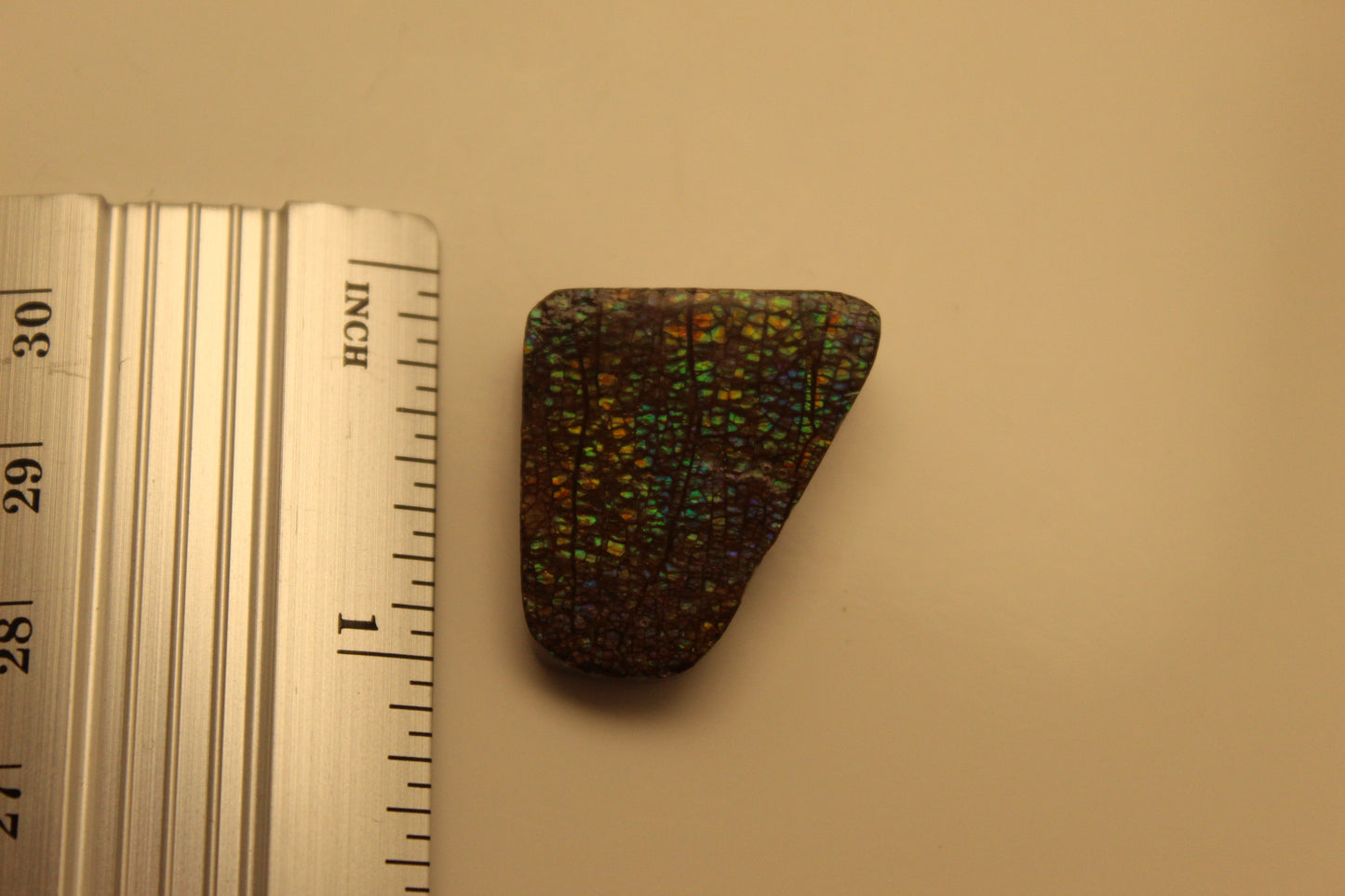 Ammolite Pendant A-#13