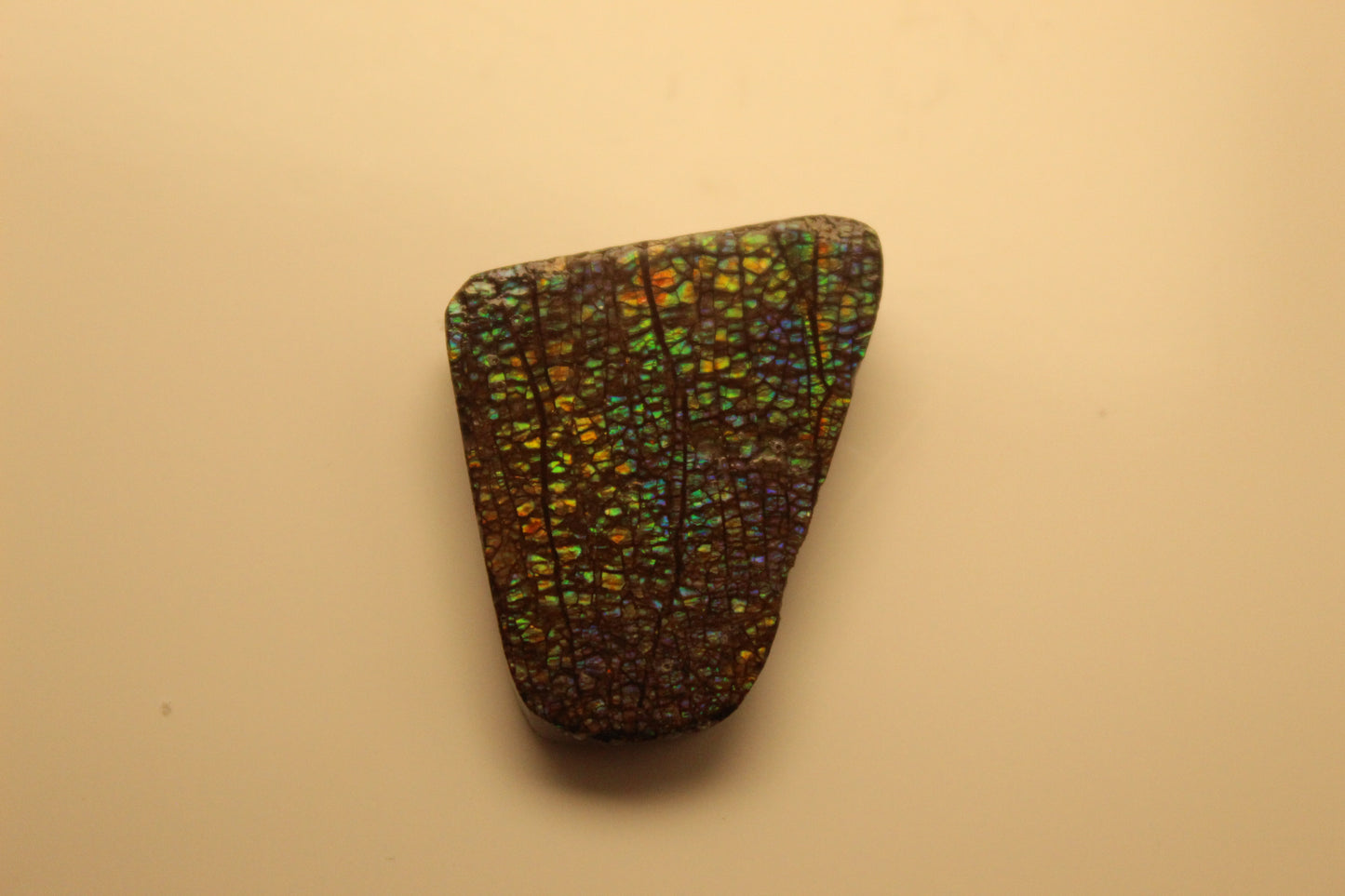 Ammolite Pendant A-#13