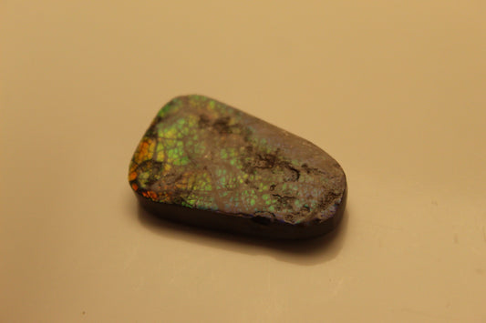 Ammolite Pendant A-#16