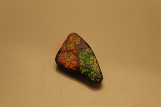 Ammolite Pendant A-#17