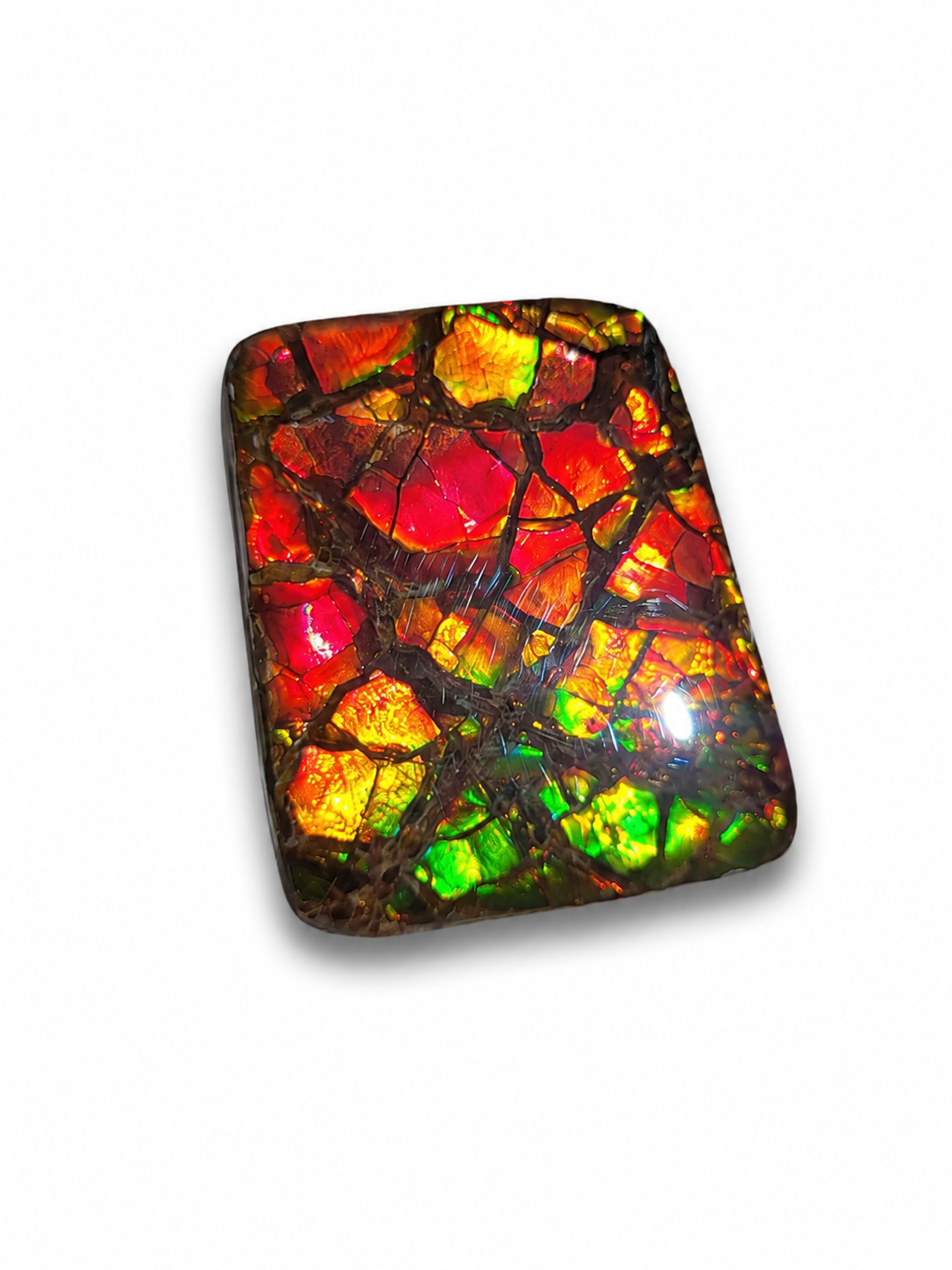 Freeform Ammolite Gemstone - CG02