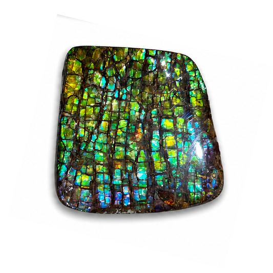 Freeform Ammolite Gemstone - CG24