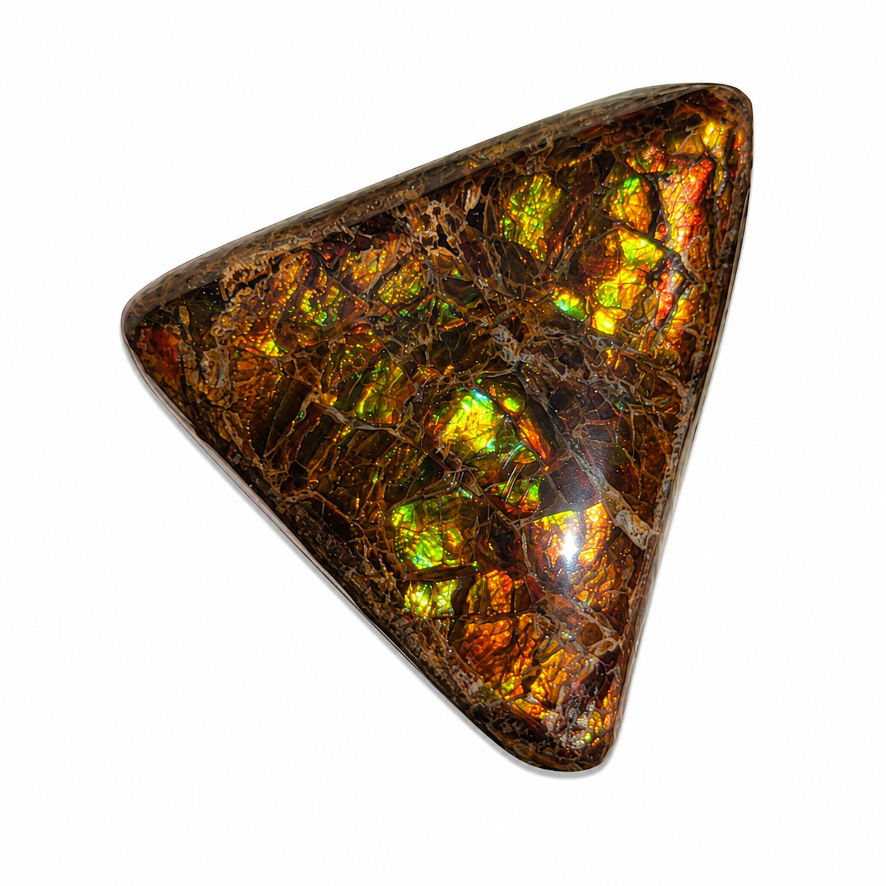 Freeform Ammolite Gemstone - CG26