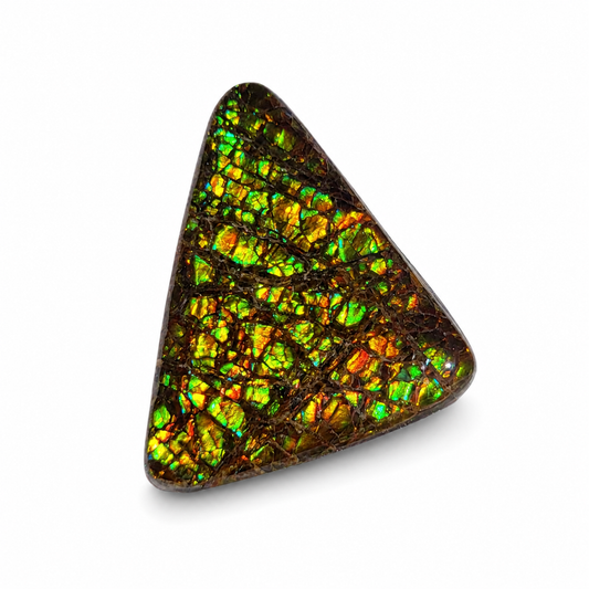 Freeform Ammolite Gemstone - CG27