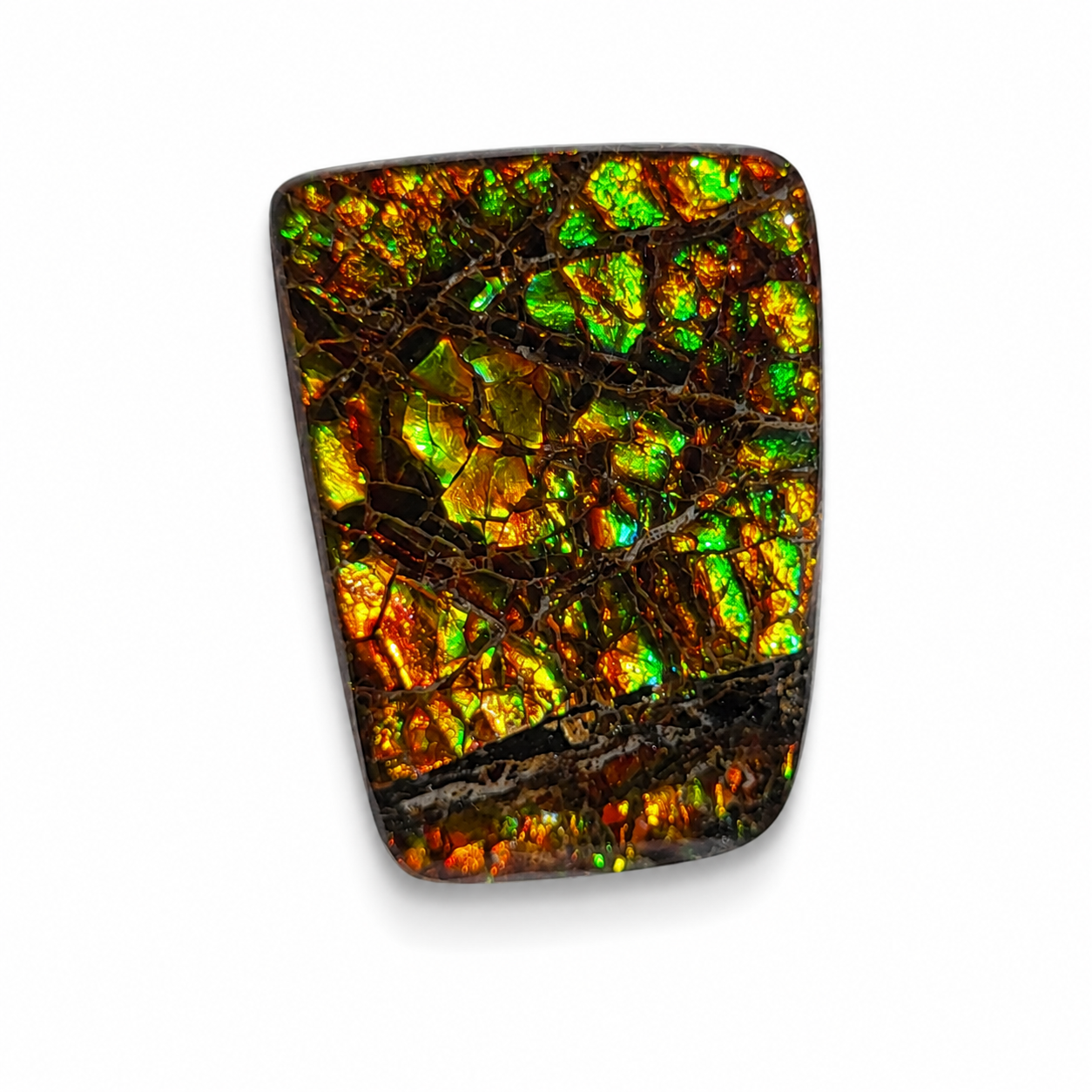 Freeform Ammolite Gemstone - CG28
