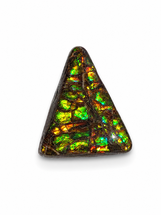 Freeform Ammolite Gemstone - CG29