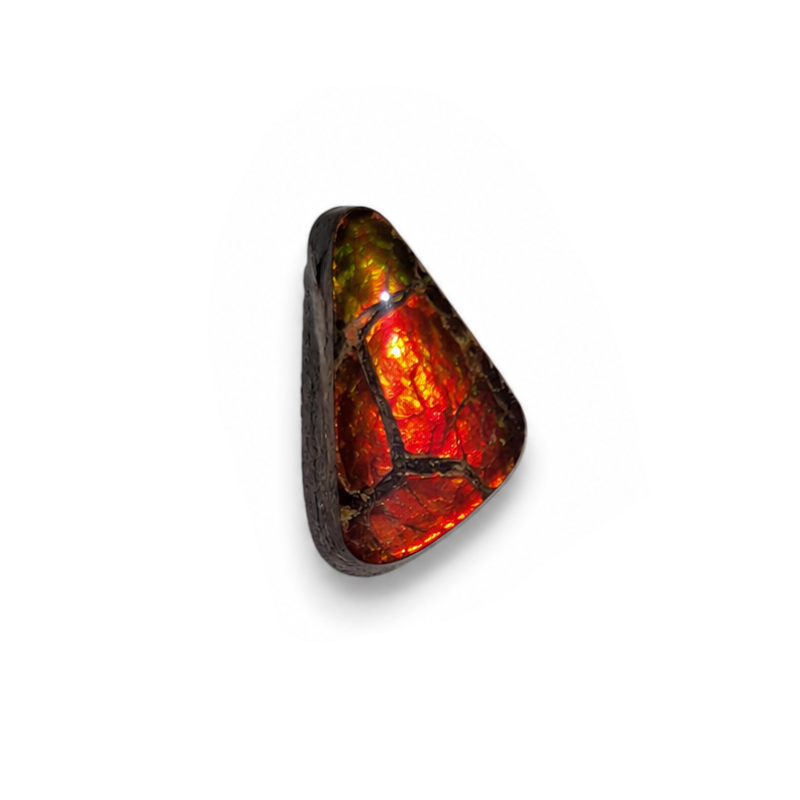 Freeform Ammolite Gemstone - CG30