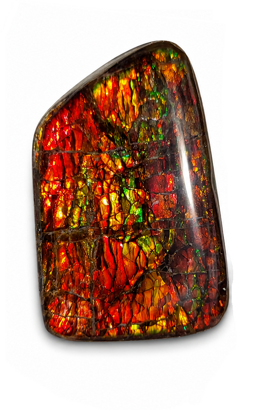 Freeform Ammolite Gemstone - CG33