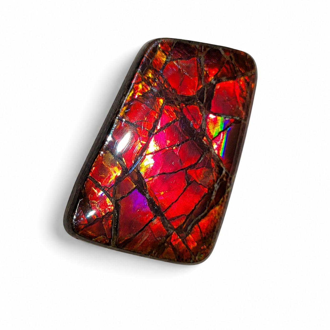 Freeform Ammolite Gemstone - CG36