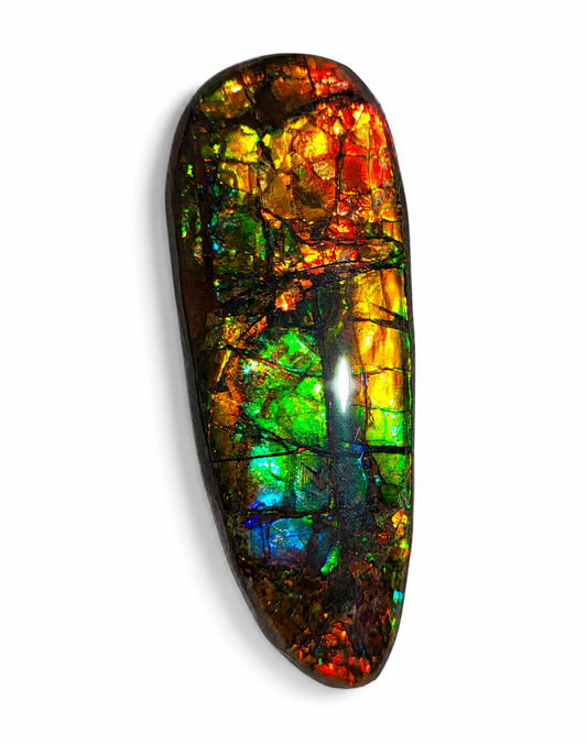 Freeform Ammolite Gemstone - CG37