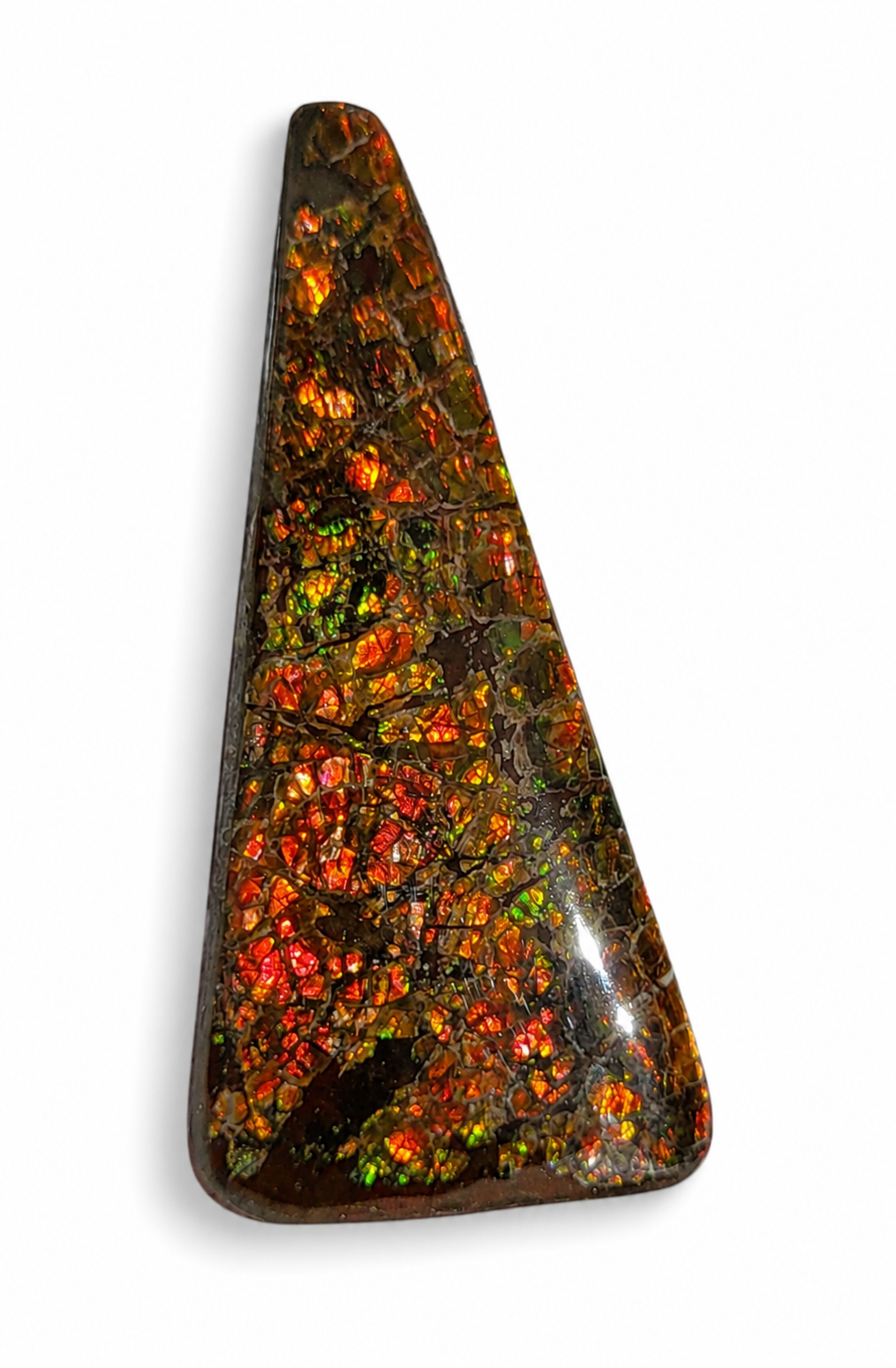 Freeform Ammolite Gemstone - CG39