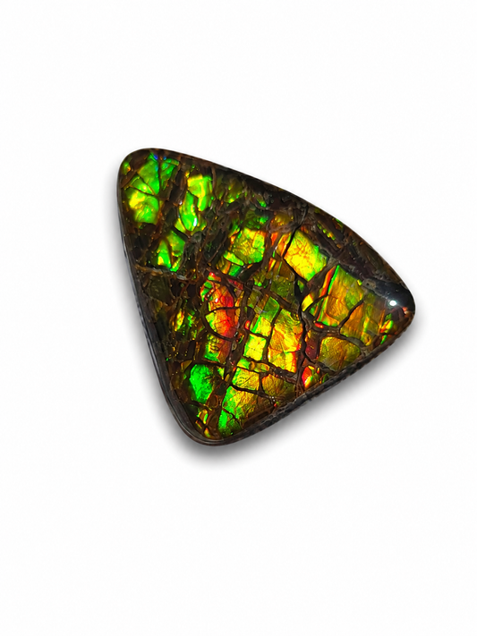 Freeform Ammolite Gemstone - CG04