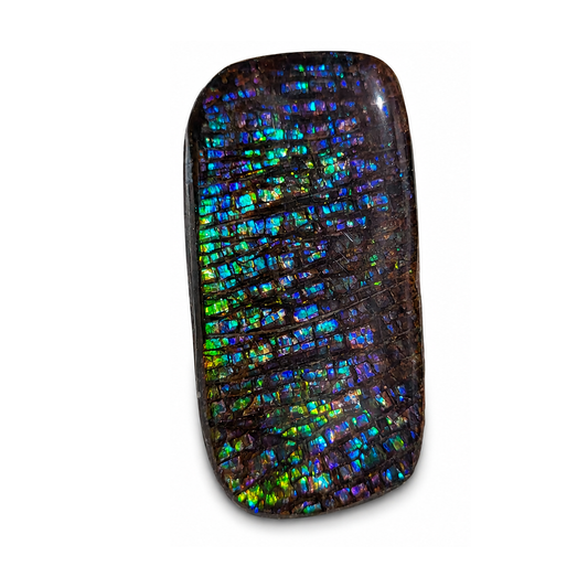 Freeform Ammolite Gemstone - CG43
