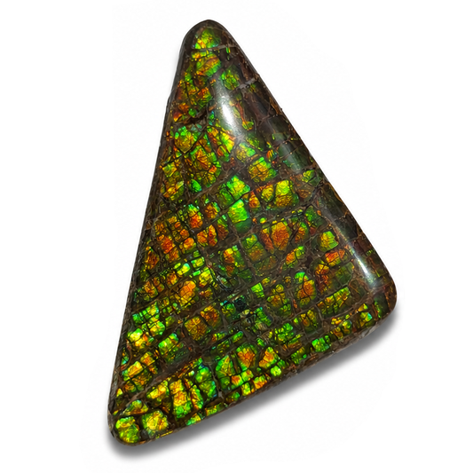 Freeform Ammolite Gemstone - CG44