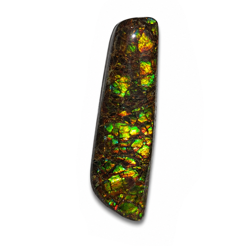 Freeform Ammolite Gemstone - CG51