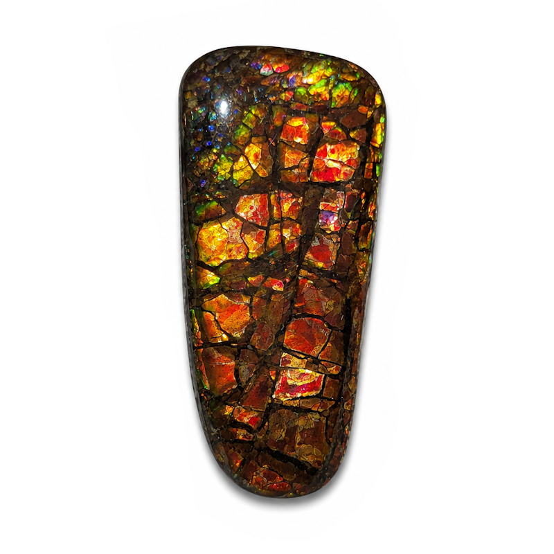 Freeform Ammolite Gemstone - CG52