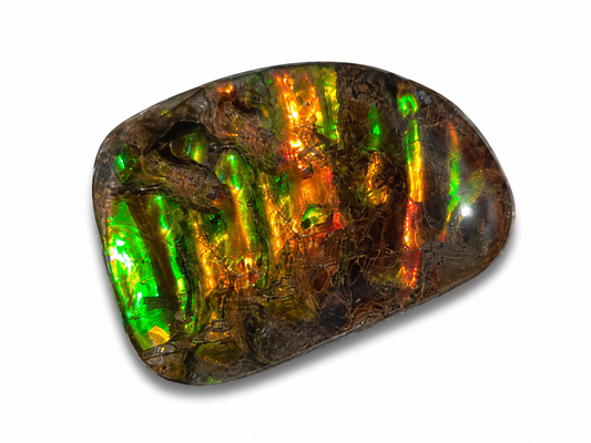 Freeform Ammolite Gemstone - CG53