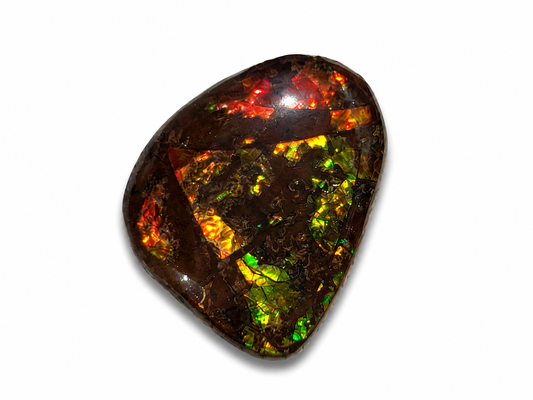 Freeform Ammolite Gemstone - CG54