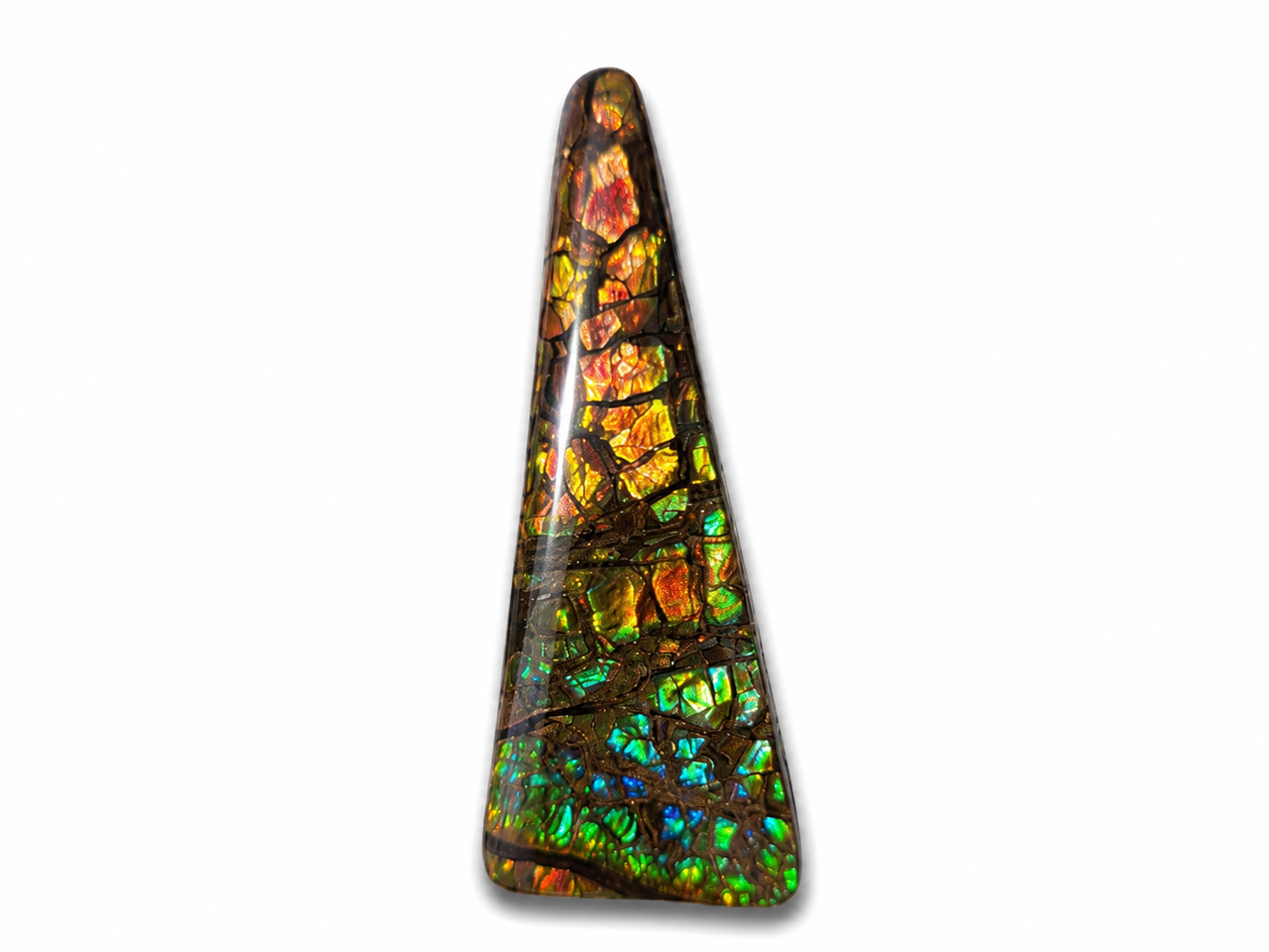 Freeform Ammolite Gemstone - CG56