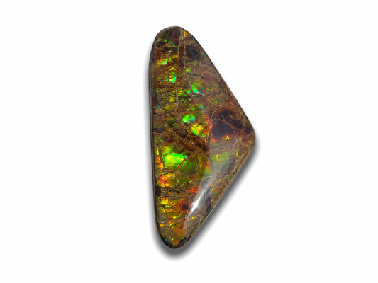 Freeform Ammolite Gemstone - CG59