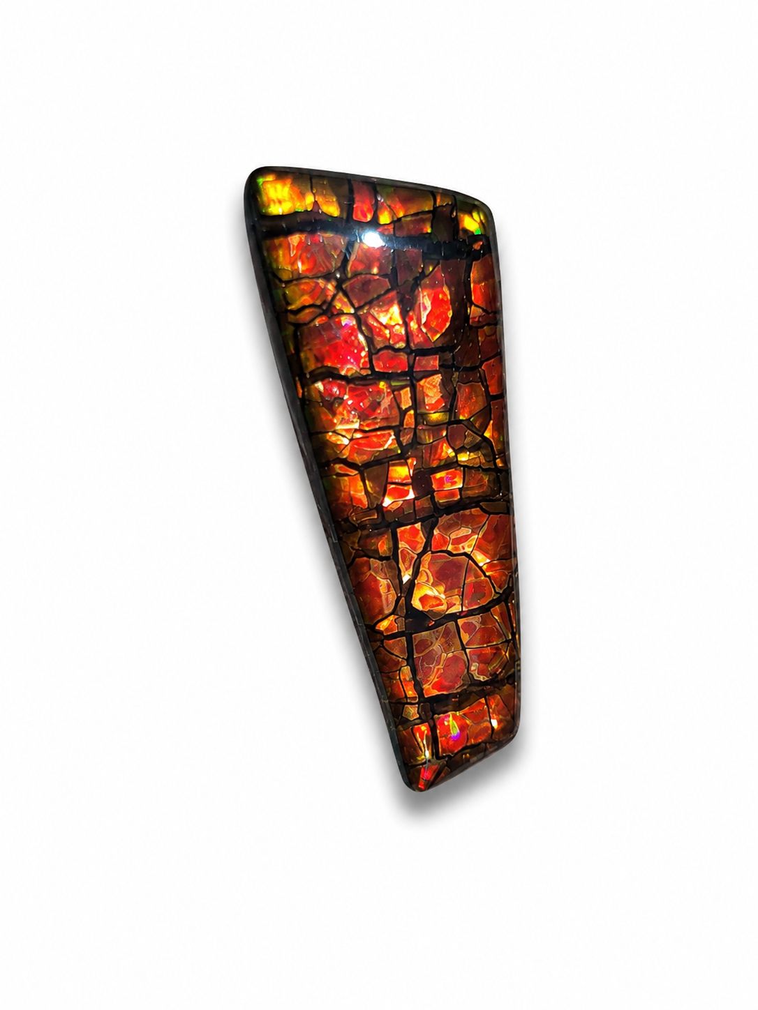 Freeform Ammolite Gemstone - CG06