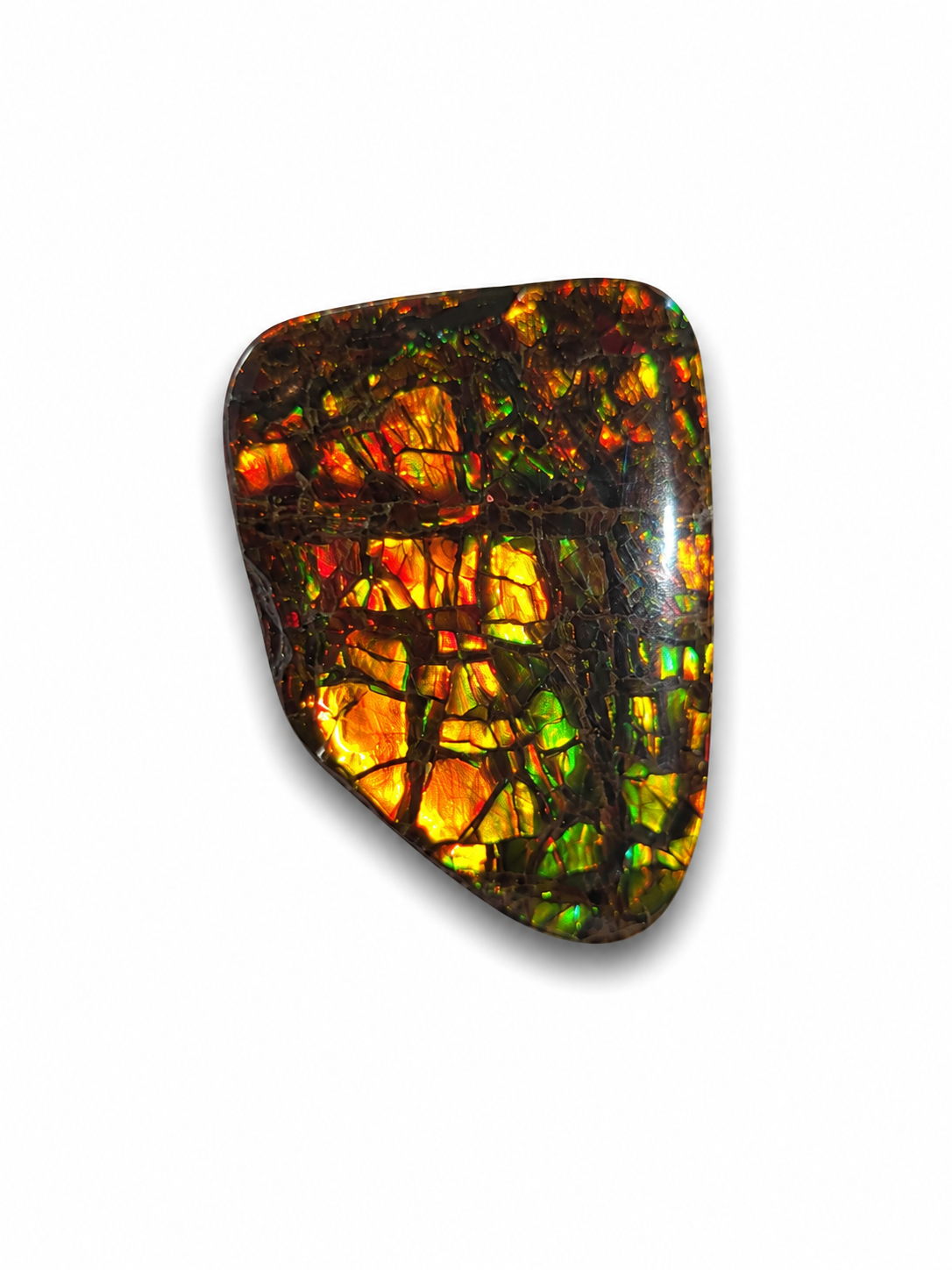 Freeform Ammolite Gemstone - CG07