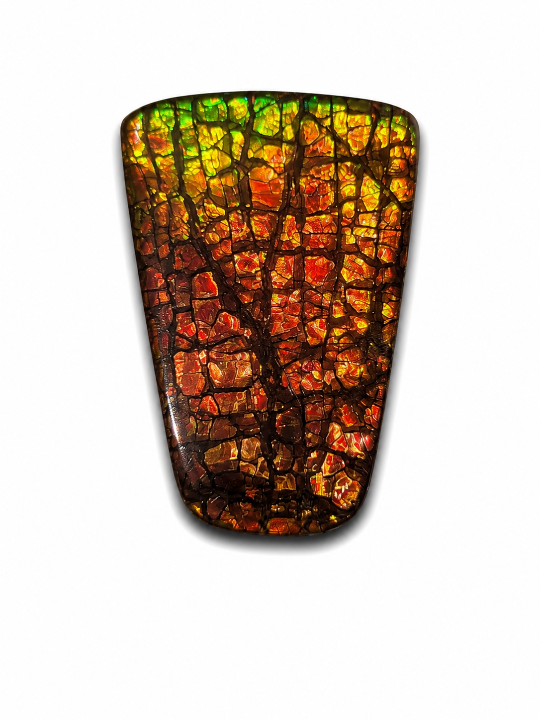 Freeform Ammolite Gemstone - CG71