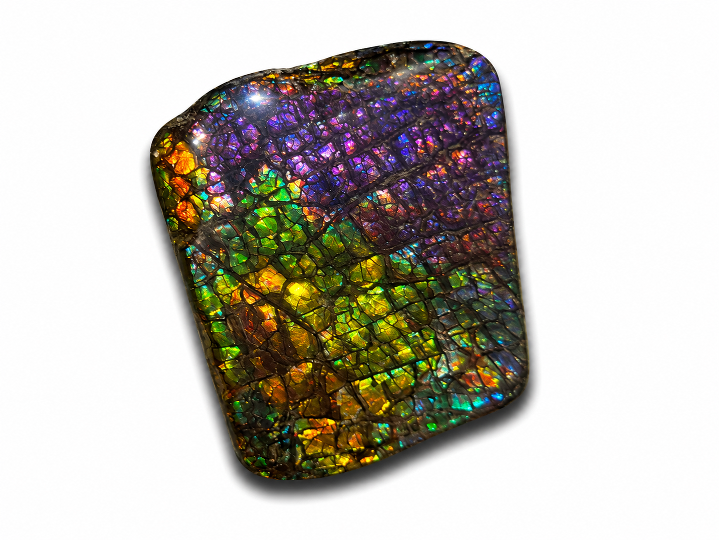 TRUE PINK Freeform Ammolite Gemstone - CG72