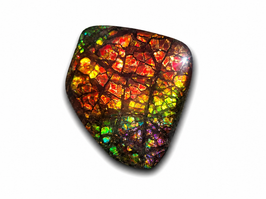 TRUE PINK Freeform Ammolite Gemstone - CG73
