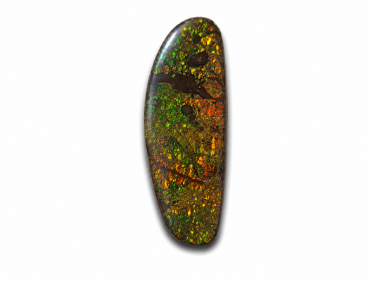 Freeform Ammolite Gemstone - CG74