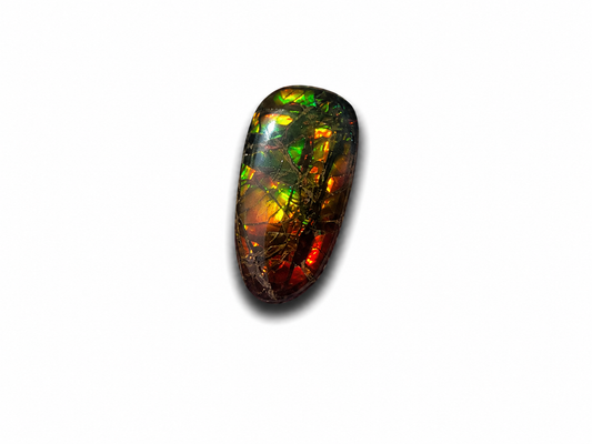 Freeform Ammolite Gemstone - CG75