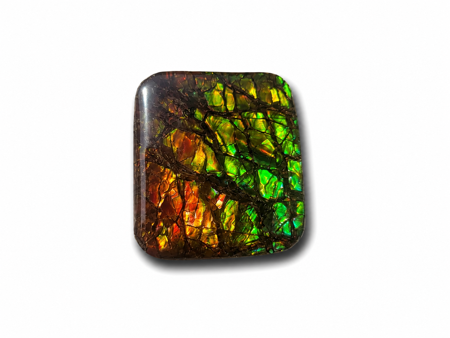 Freeform Ammolite Gemstone - CG76